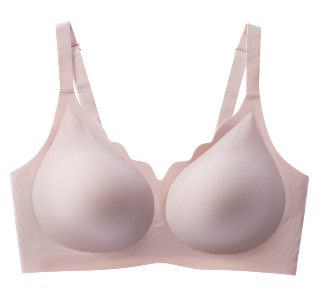 Wireless Bras for Women Seamless Comfort Scalloped  Bras Shaping Bras